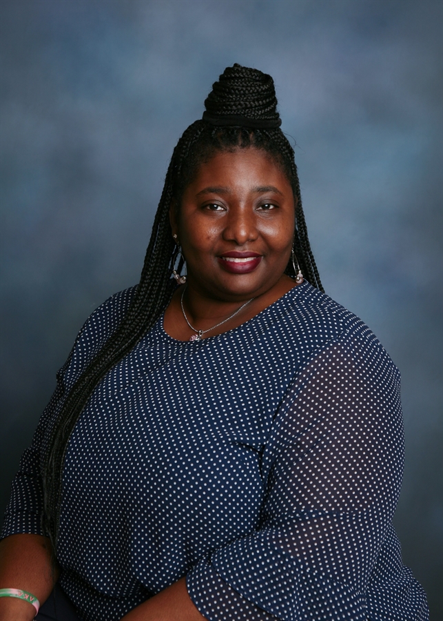 Lake View Elementary School Dillon School District Four